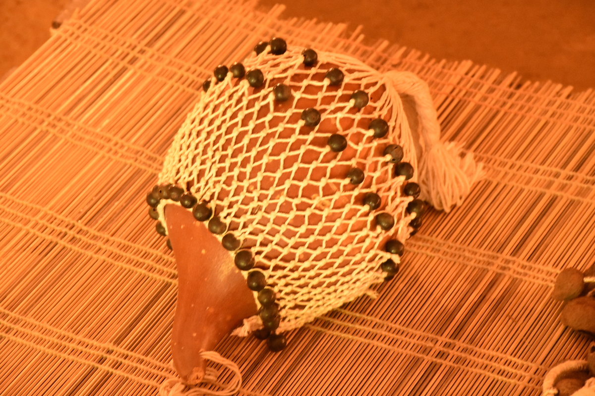 Parque Zoológico de São Paulo