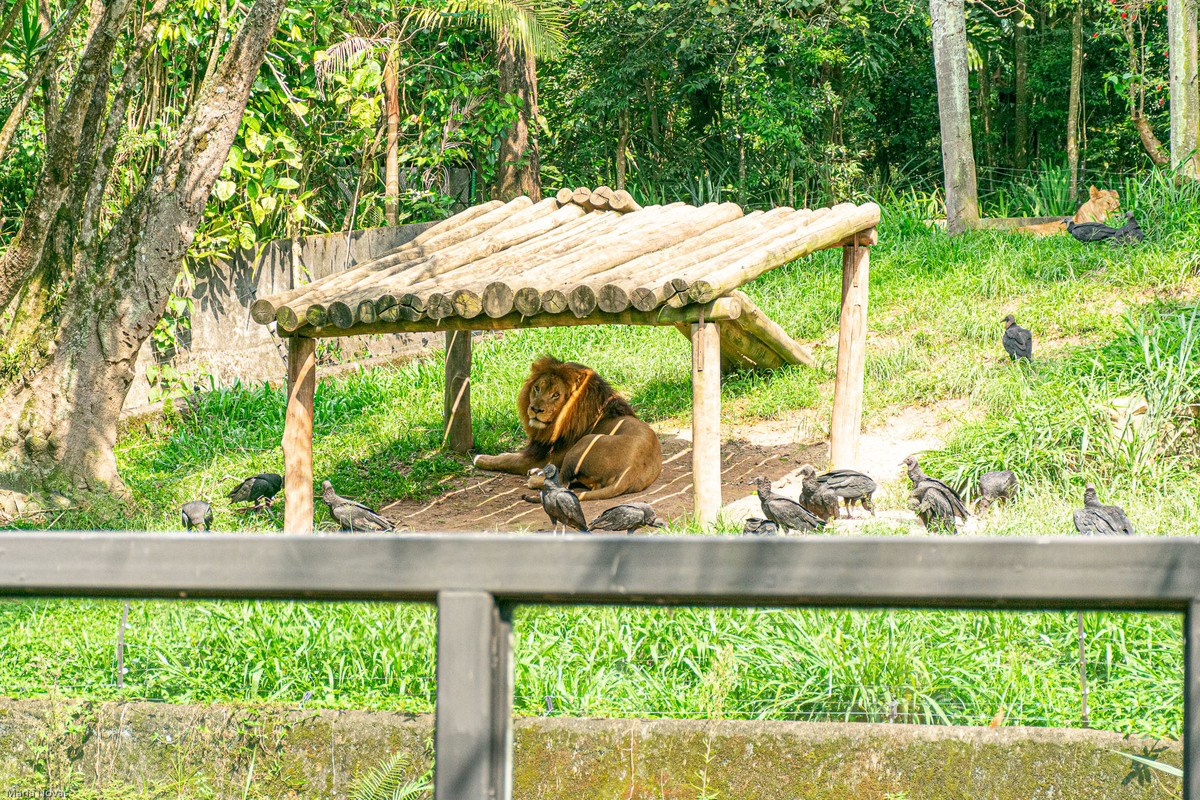 Parque Zoológico de São Paulo