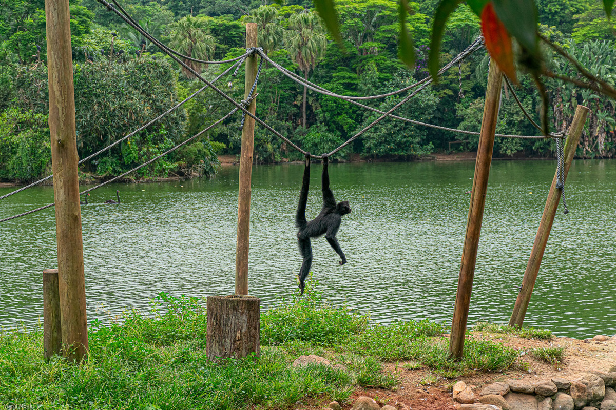 Parque Zoológico de São Paulo