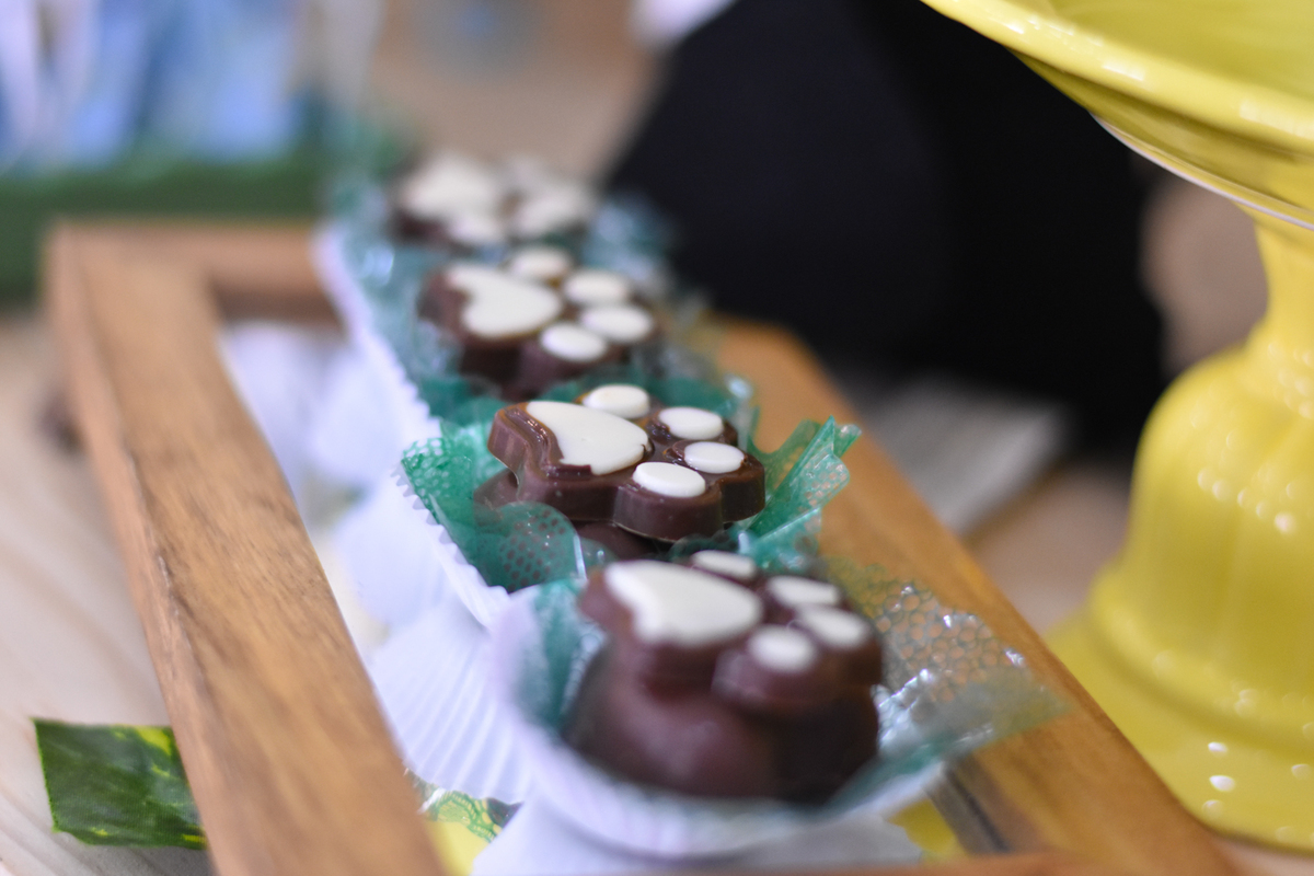 Chá de Bebê - Safari