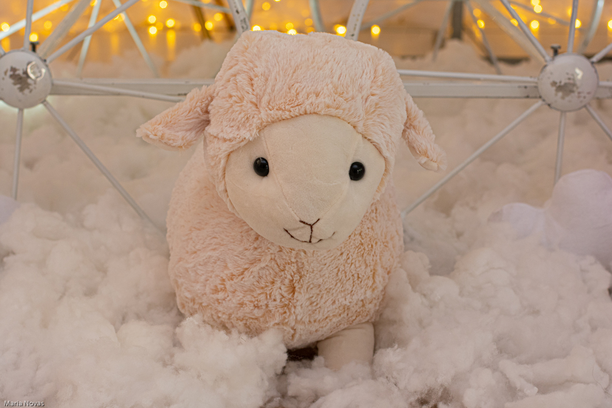 Festa Infantil - Decoração - Ovelhinha