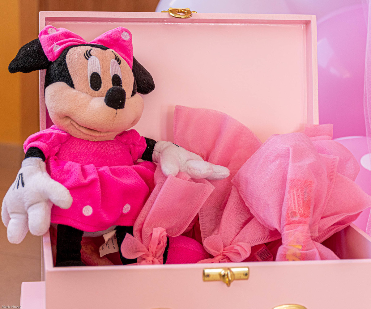 Festa Infantil - Minie Rosa