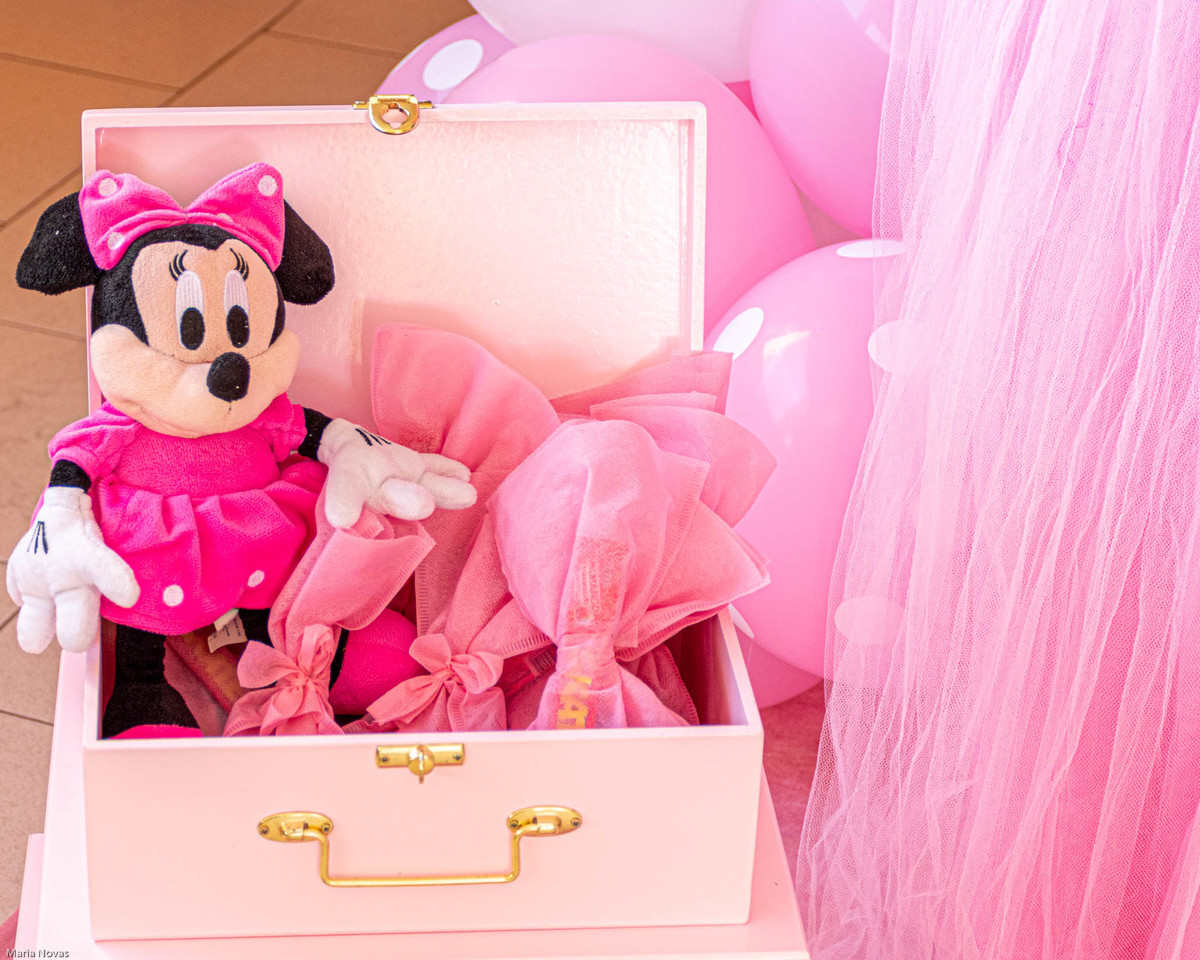 Festa Infantil - Minie Rosa