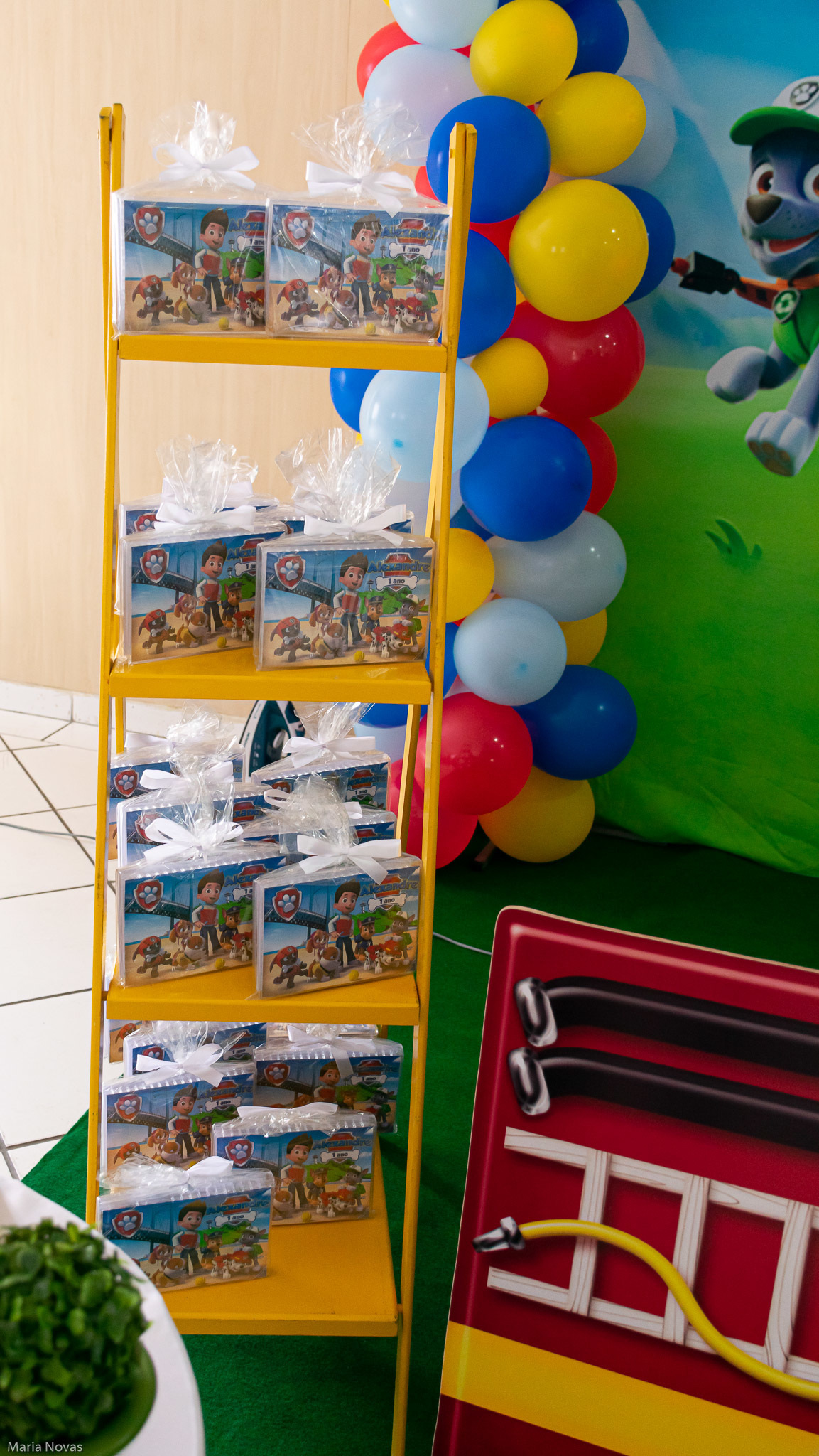 Festa Infantil - Patrulha Canina