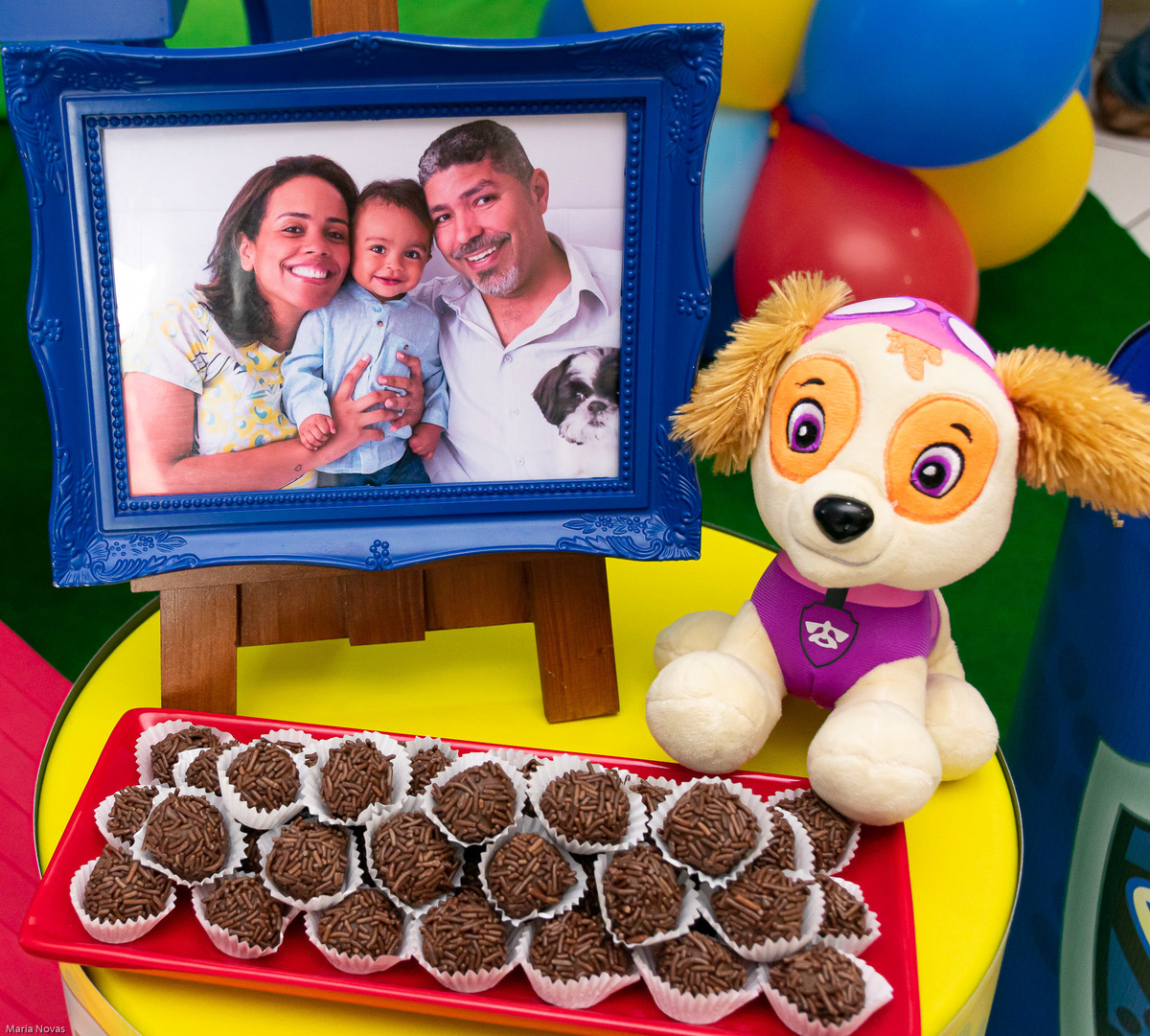 Festa Infantil - Patrulha Canina