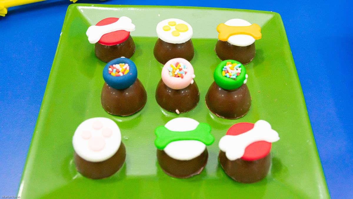 Festa Infantil - Patrulha Canina