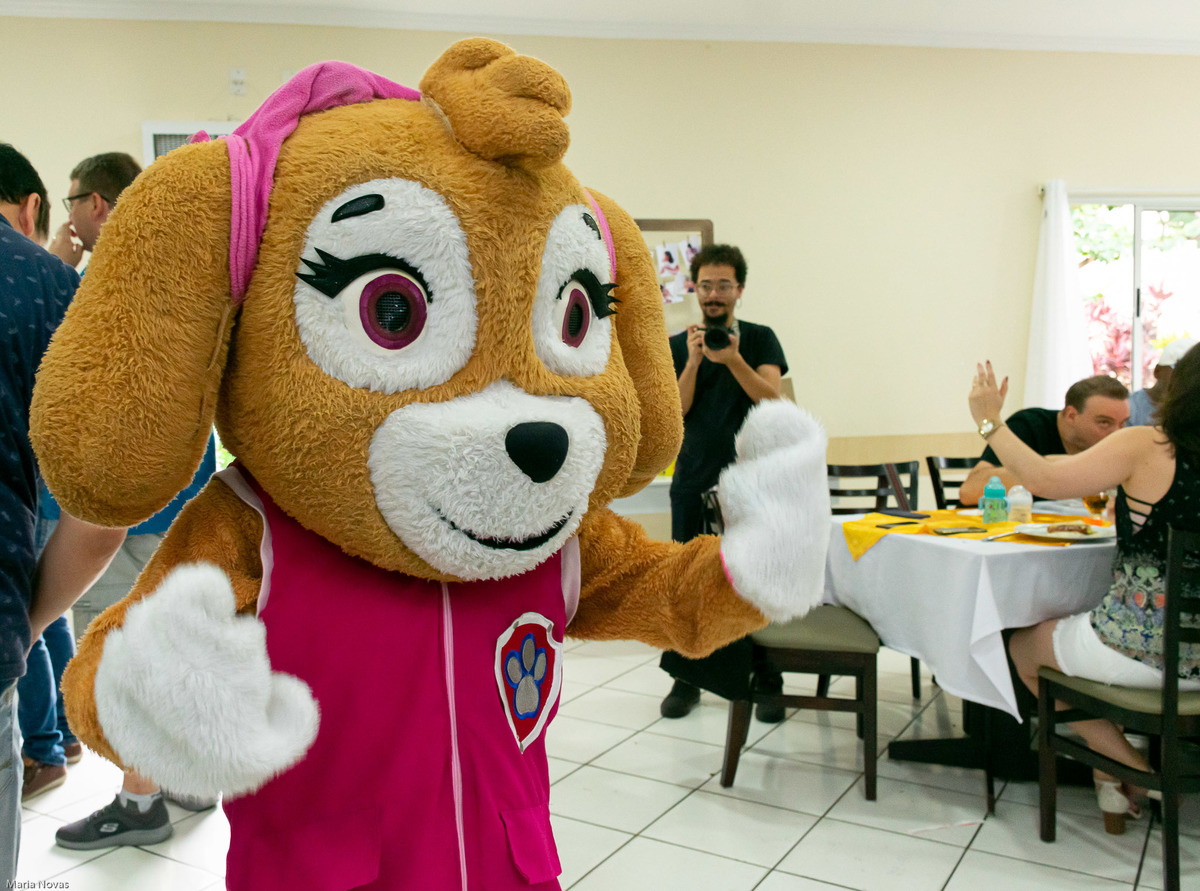 Festa Infantil - Patrulha Canina
