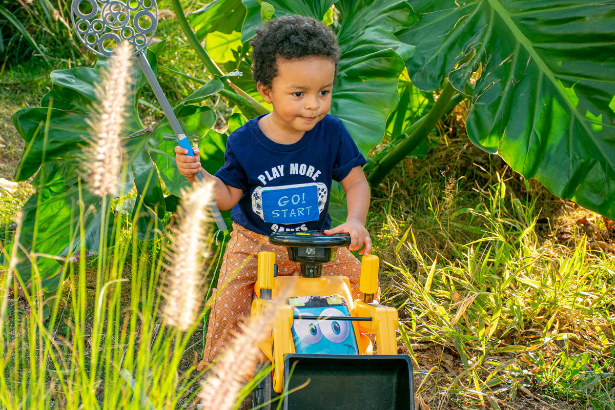 Ensaio Infantil no parque
