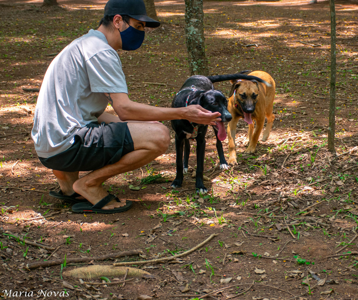 Ensaio Pet - Zazá e Lelê