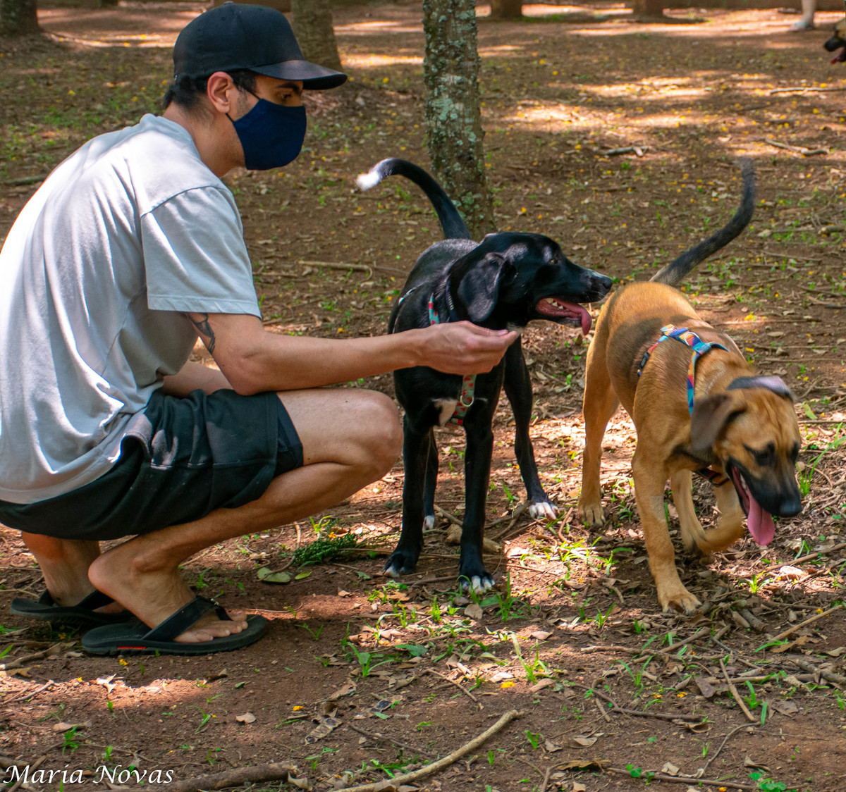 Ensaio Pet - Zazá e Lelê