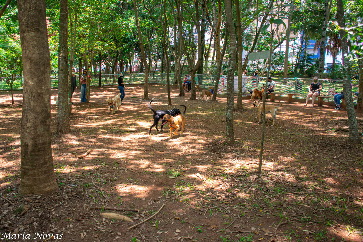 Ensaio Pet - Zazá e Lelê