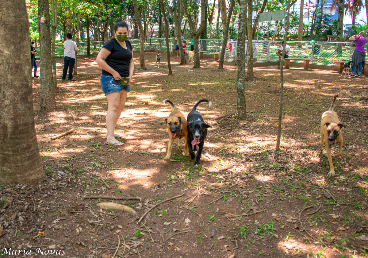 Ensaio Pet - Zazá e Lelê