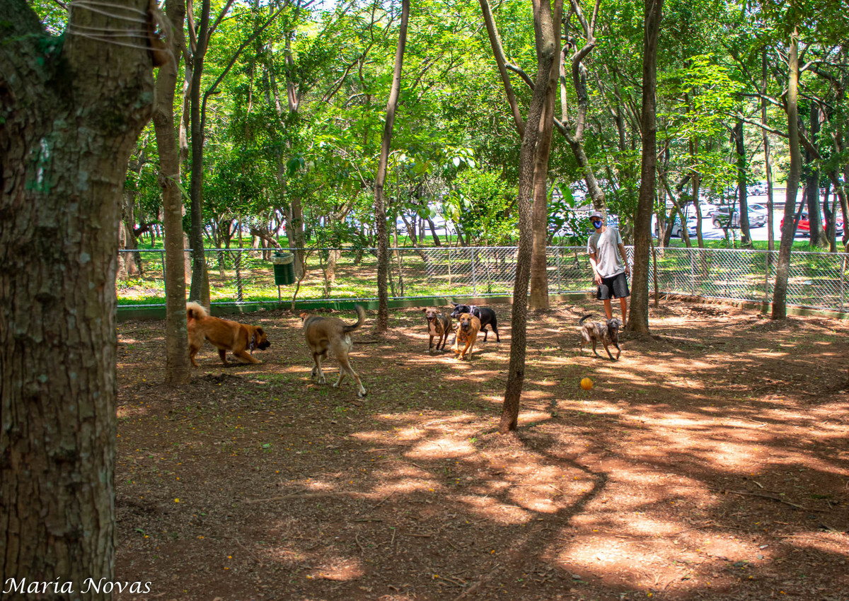Ensaio Pet - Zazá e Lelê