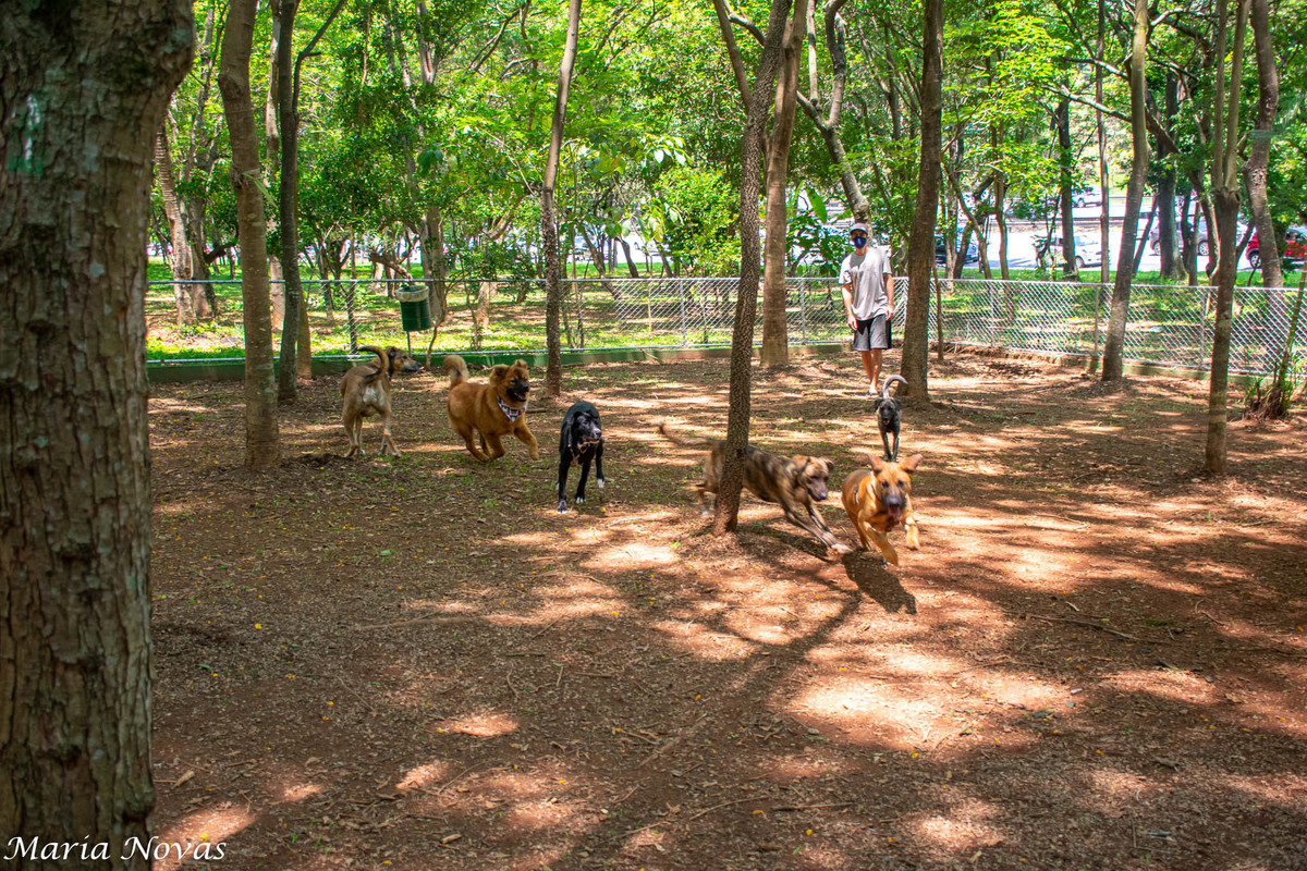 Ensaio Pet - Zazá e Lelê
