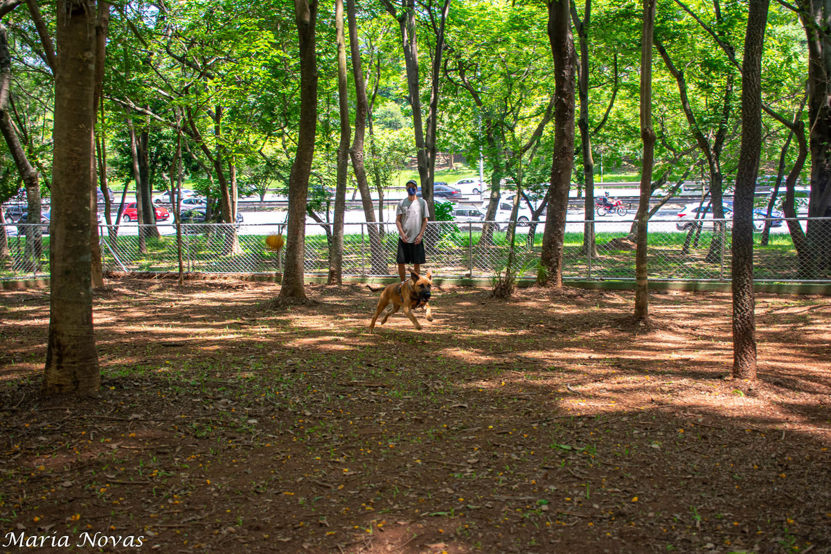 Ensaio Pet - Zazá e Lelê