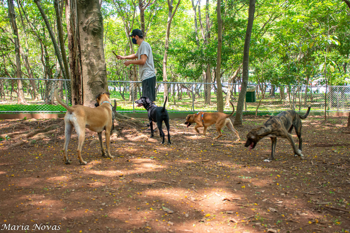 Ensaio Pet - Zazá e Lelê
