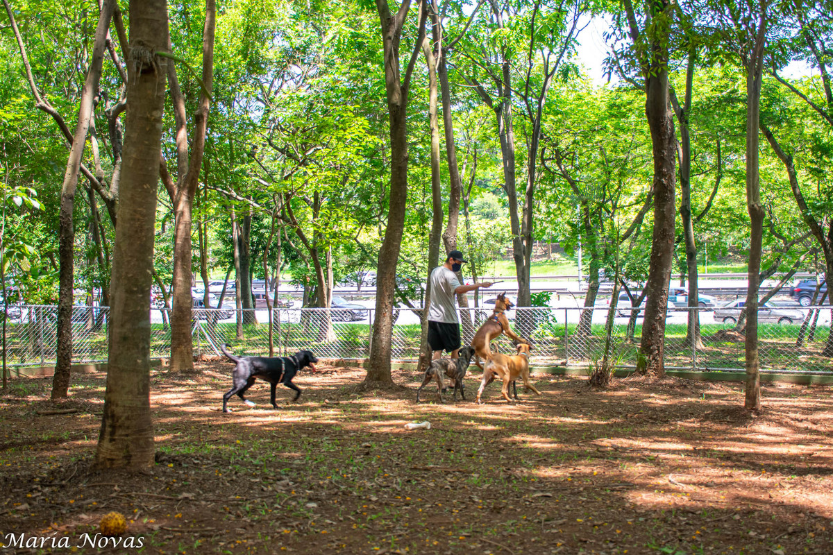 Ensaio Pet - Zazá e Lelê
