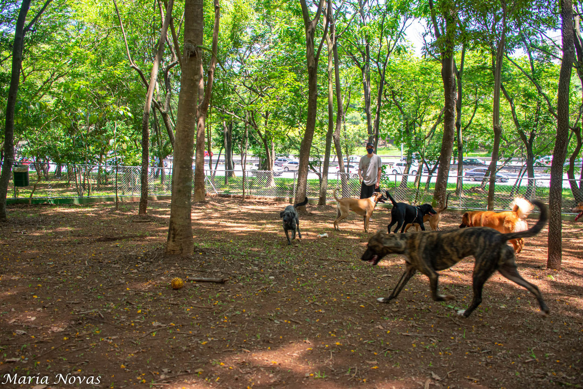 Ensaio Pet - Zazá e Lelê