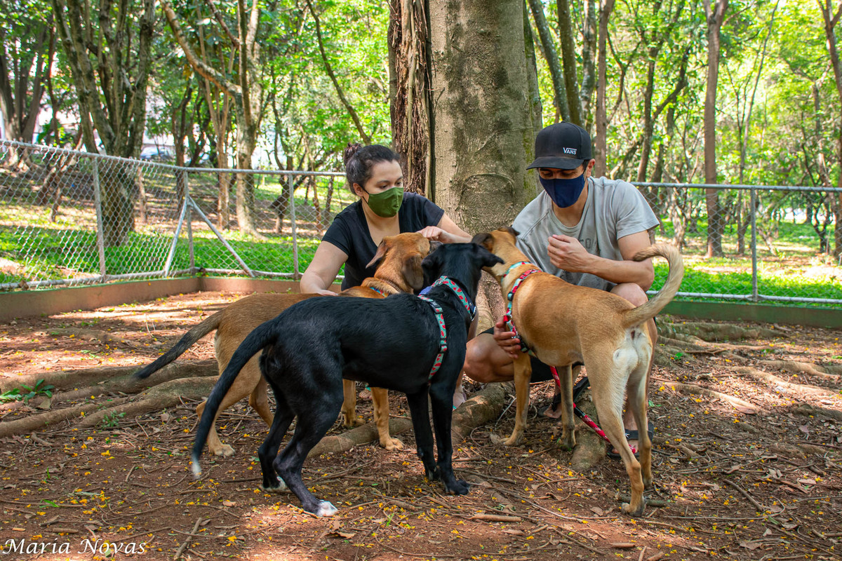Ensaio Pet - Zazá e Lelê