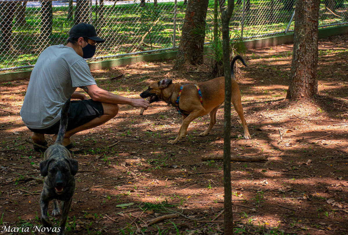Ensaio Pet - Zazá e Lelê