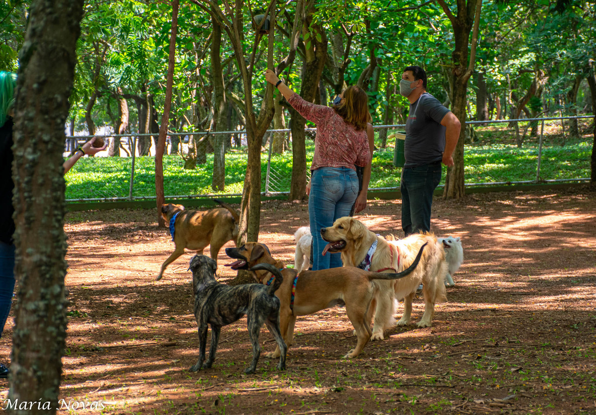 Ensaio Pet - Zazá e Lelê