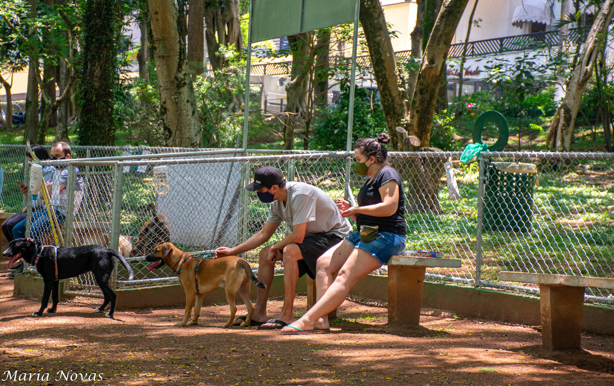 Ensaio Pet - Zazá e Lelê
