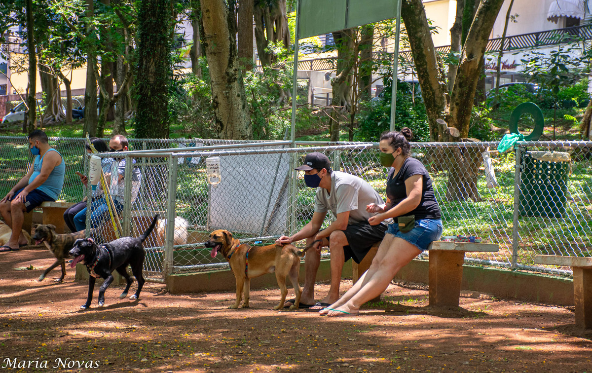 Ensaio Pet - Zazá e Lelê