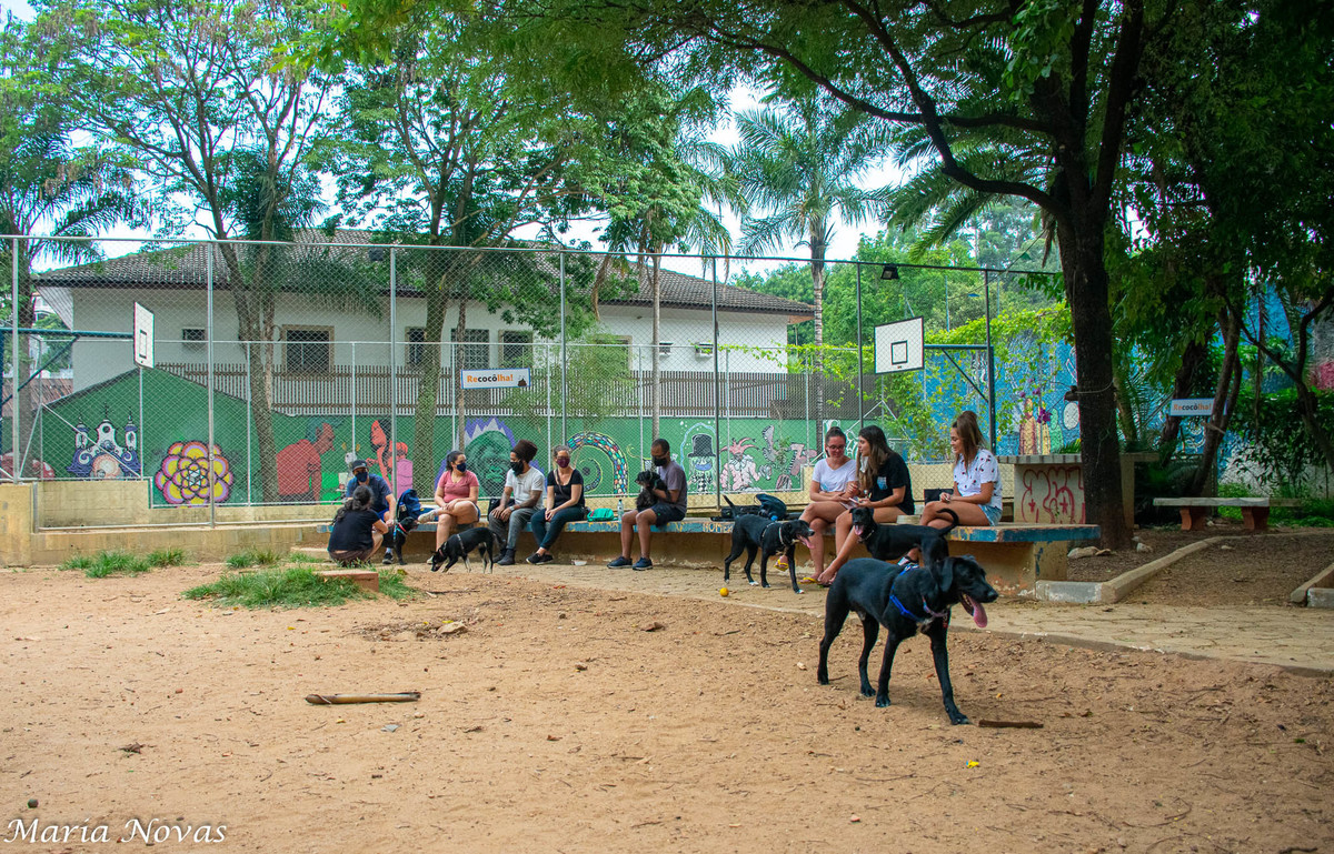 Ensaio Pet - Zazá e Lelê 