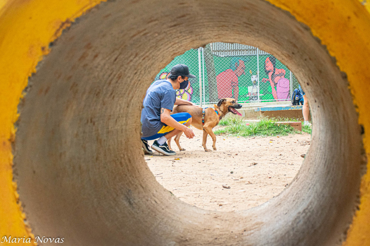 Ensaio Pet - Zazá e Lelê 