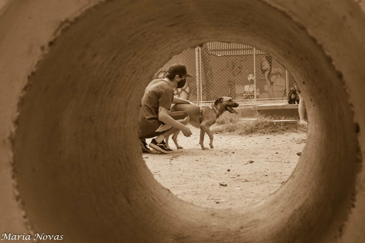 Ensaio Pet - Zazá e Lelê