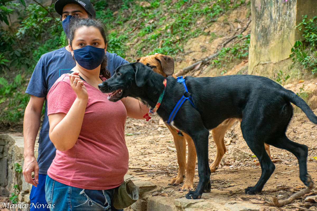 Ensaio Pet - Zazá e Lelê 
