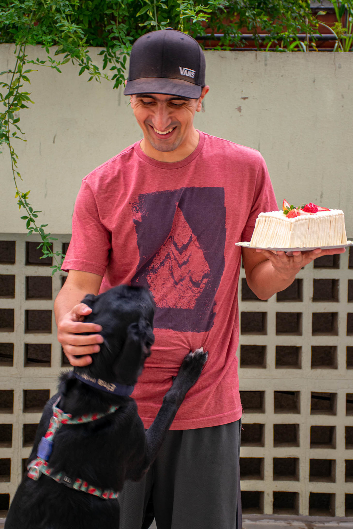 Smach the Cake - 35 anos