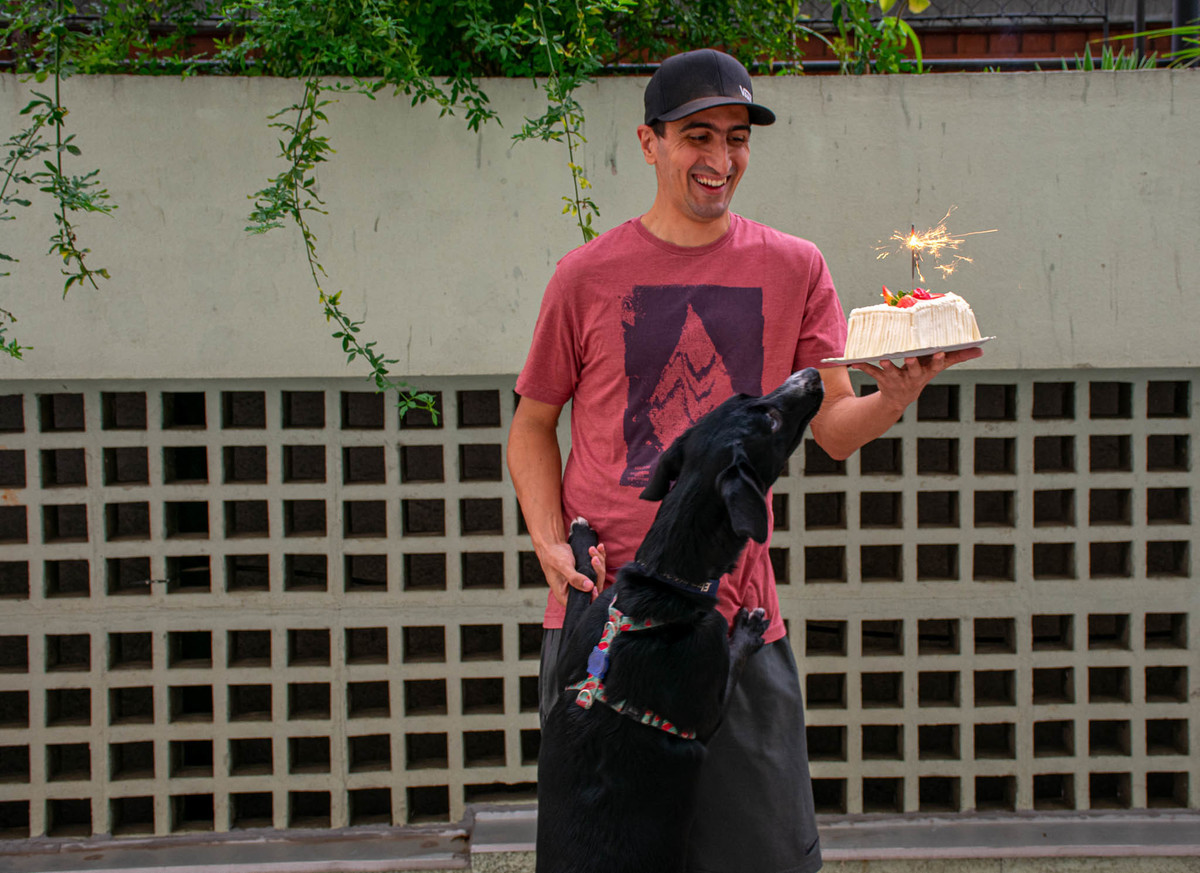 Smach the Cake - 35 anos