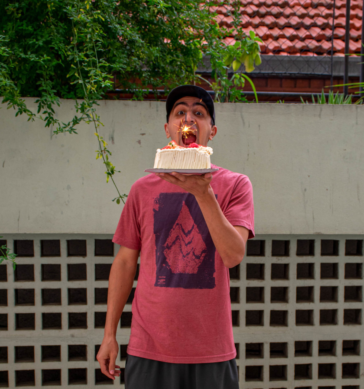 Smach the Cake - 35 anos