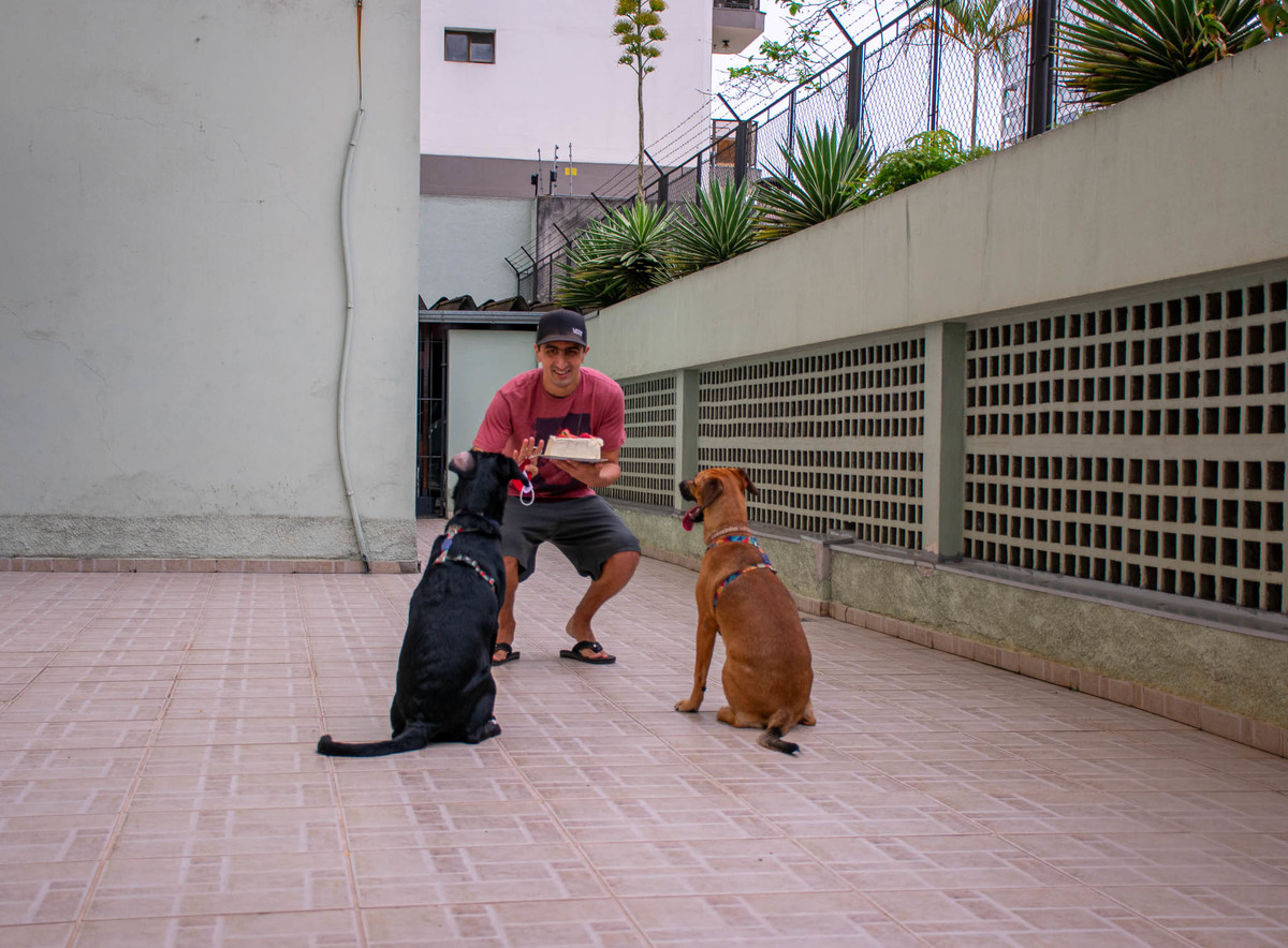 Smach the Cake - 35 anos