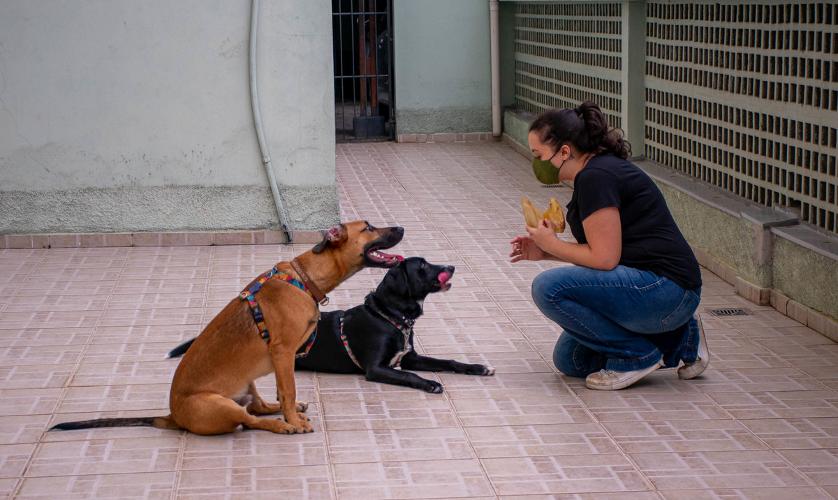 Smach the Cake - 35 anos
