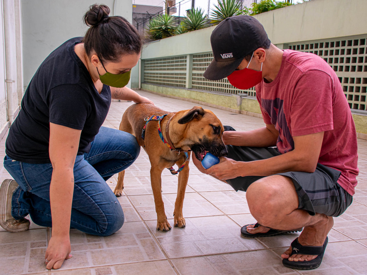 Smach the Cake - 35 anos