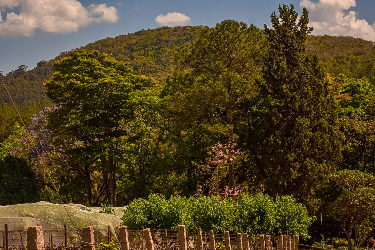 Paisagem do interior de São Paulo