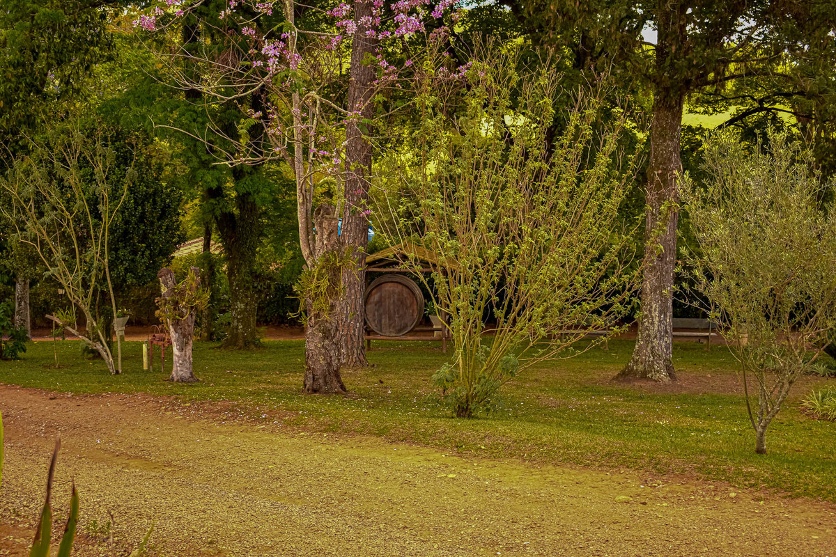 Paisagem do interior de São Paulo