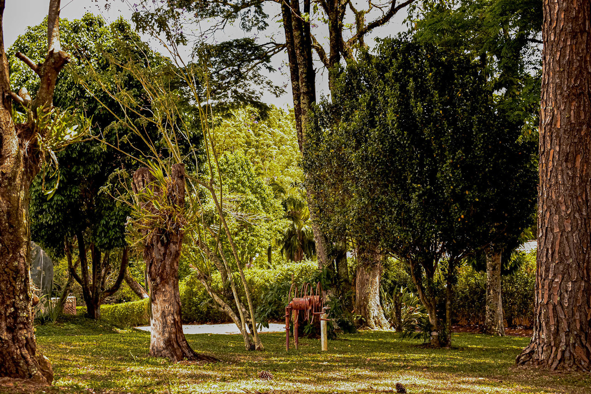 Paisagem do interior de São Paulo