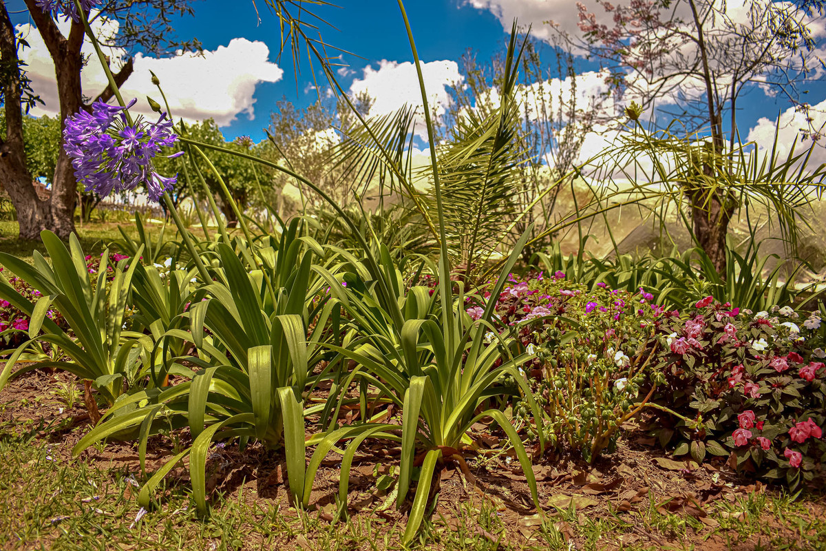 Paisagem do interior de São Paulo