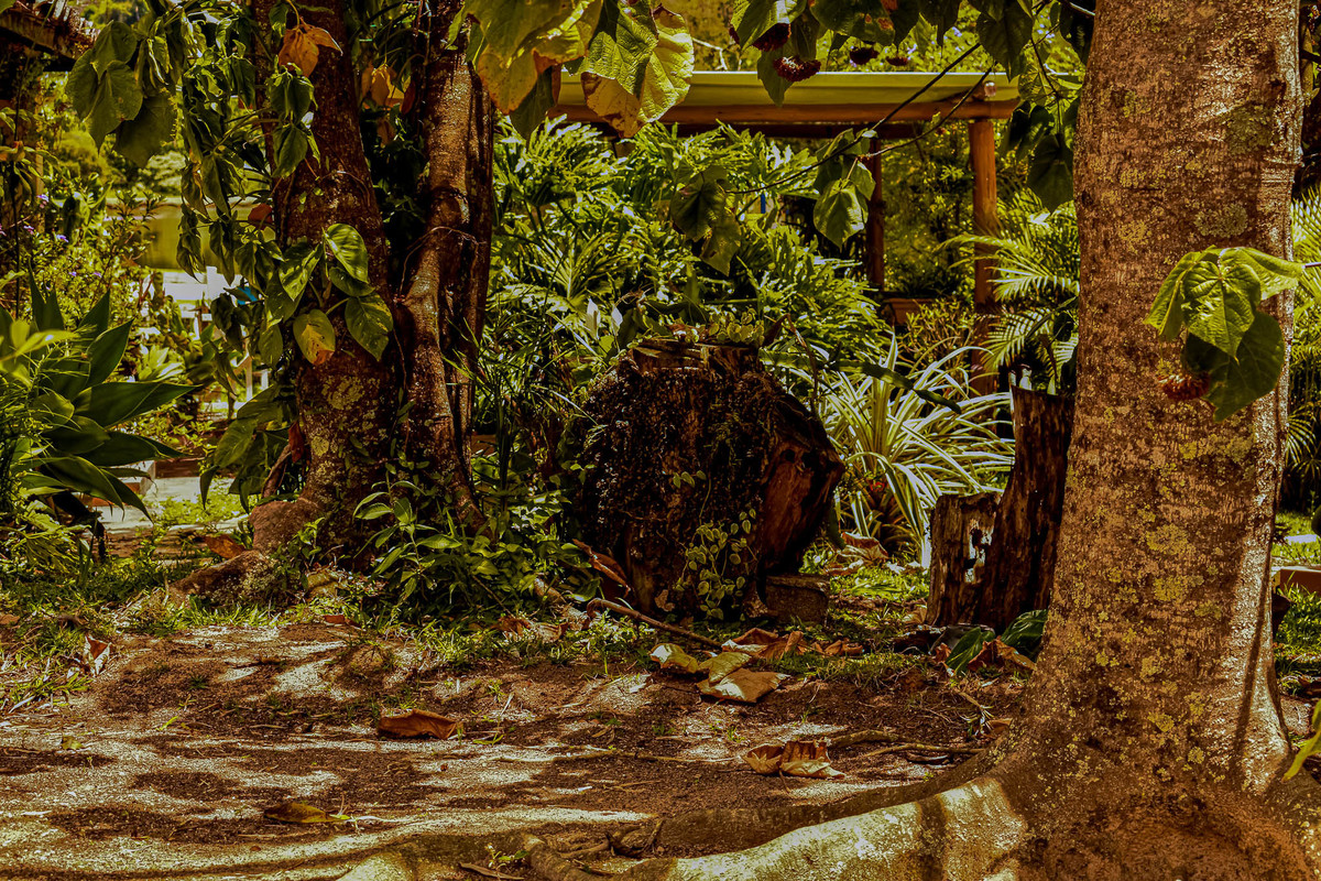 Paisagem do interior de São Paulo