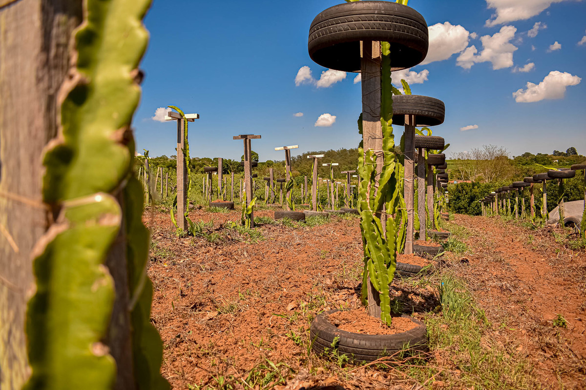 Paisagem do interior de São Paulo