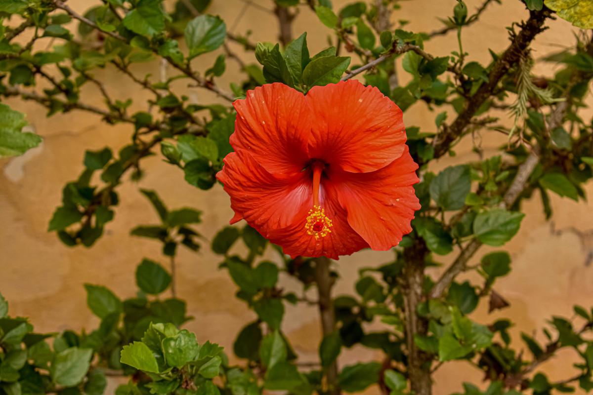 Paisagem do interior de São Paulo