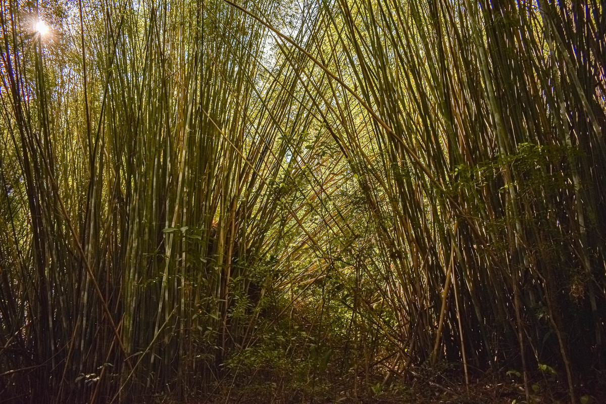 Paisagem do interior de São Paulo
