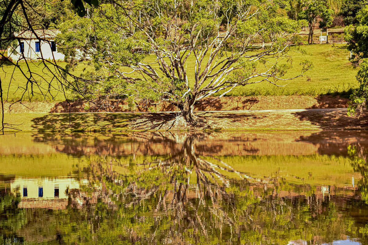 Paisagem do interior de São Paulo