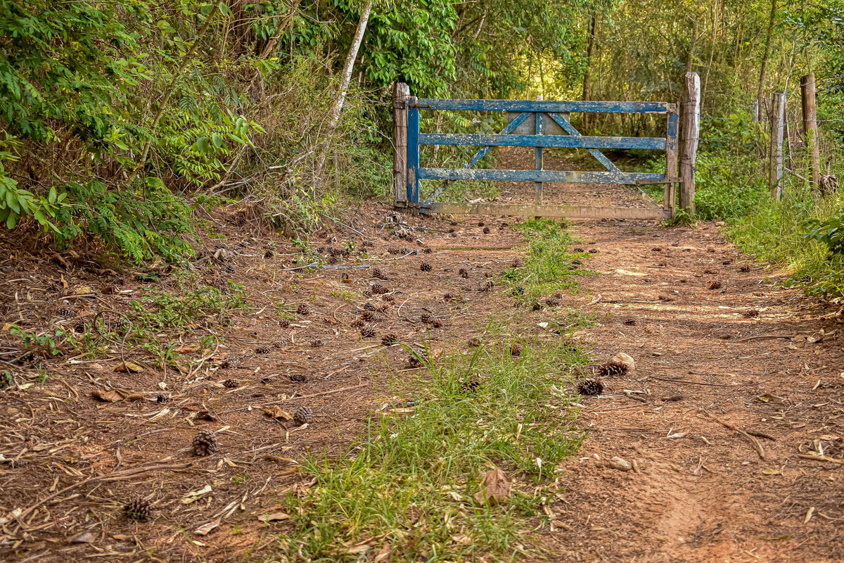 Paisagem do interior de São Paulo