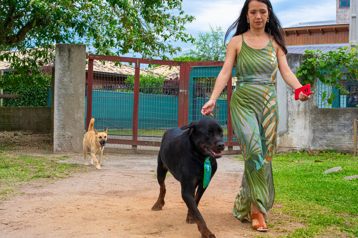 Festa infantil - Campeche - SC