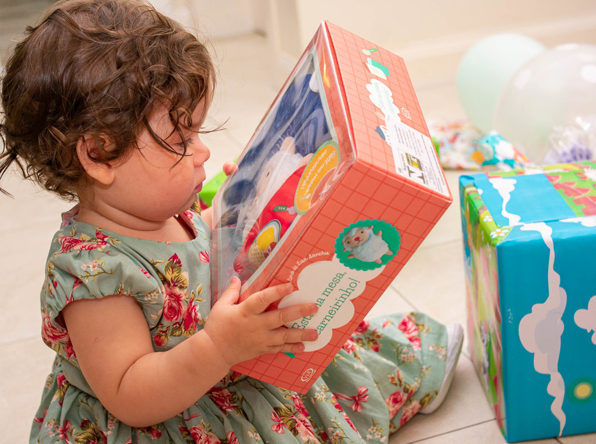 Festa infantil - Joinville - SC