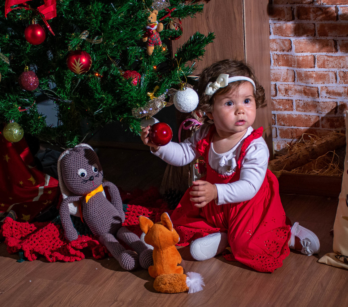 Ensaio de Natal no Rio Vermelho - SC